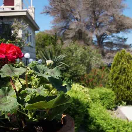 Mirna コルチュラ