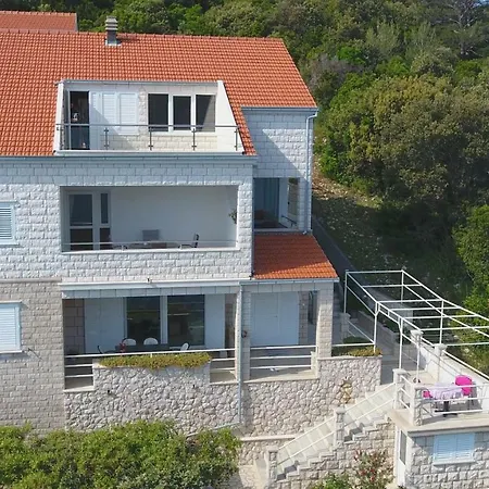 Mirna * 科尔丘拉